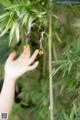 A child's hand reaching for a pair of earrings hanging from a bamboo tree.