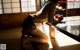 Airi Suzumura - Girlpop Pornstars Spandexpictures P7 No.db33d5 Image No. 11